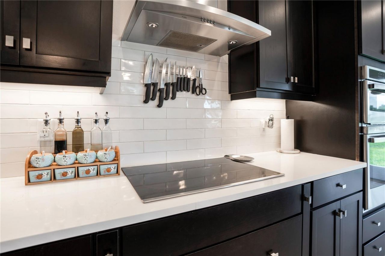 19335 Eagle Creek Lane, Tampa, FL 33647 Photo