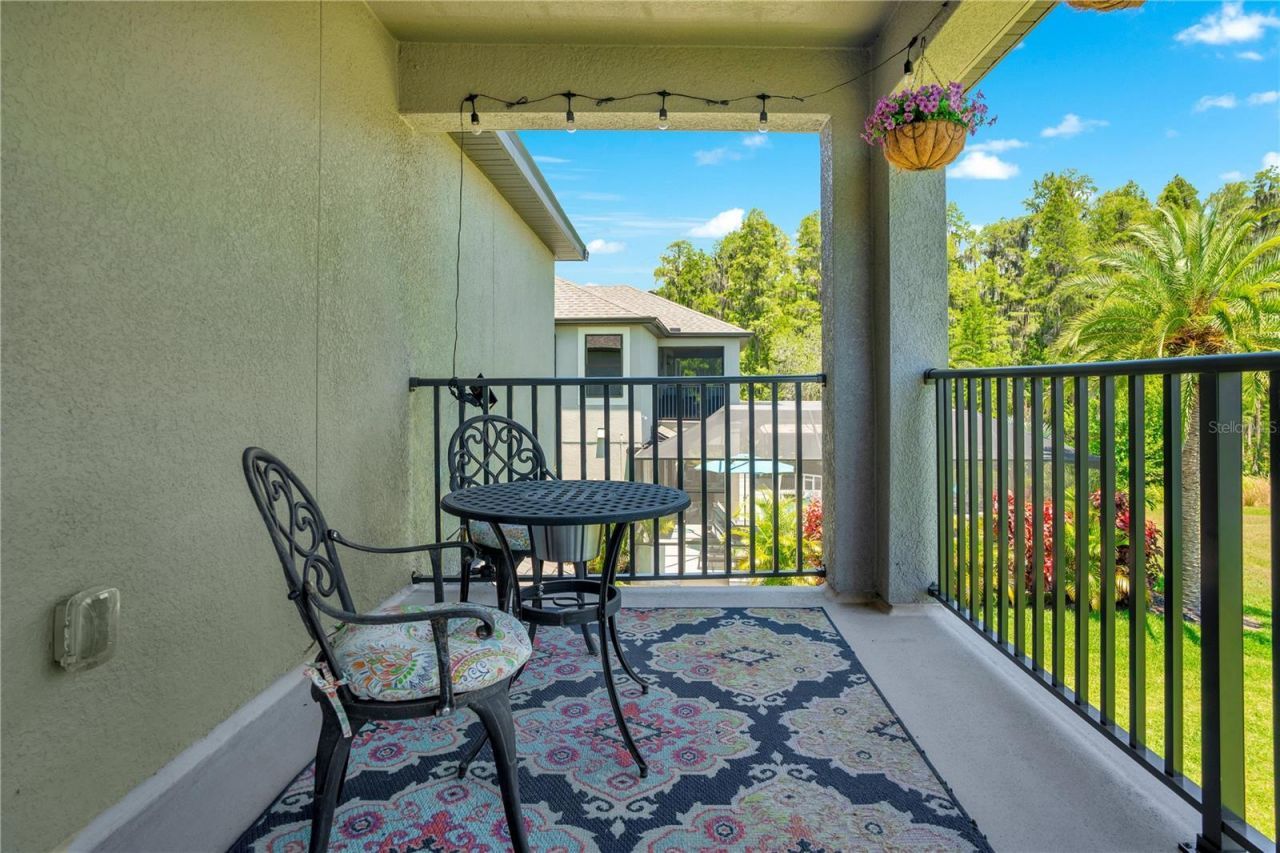 19335 Eagle Creek Lane, Tampa, FL 33647 Photo