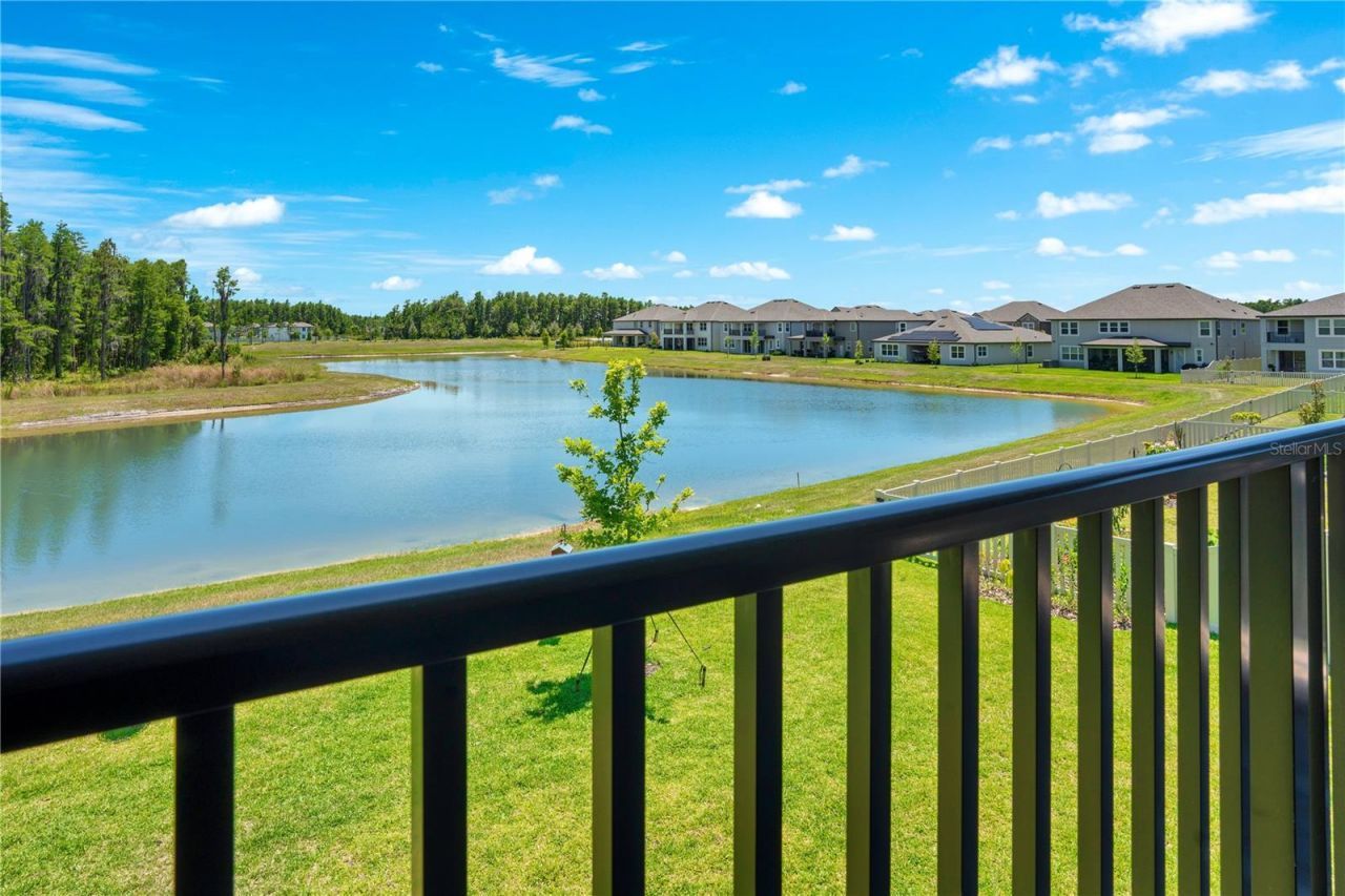 19335 Eagle Creek Lane, Tampa, FL 33647 Photo