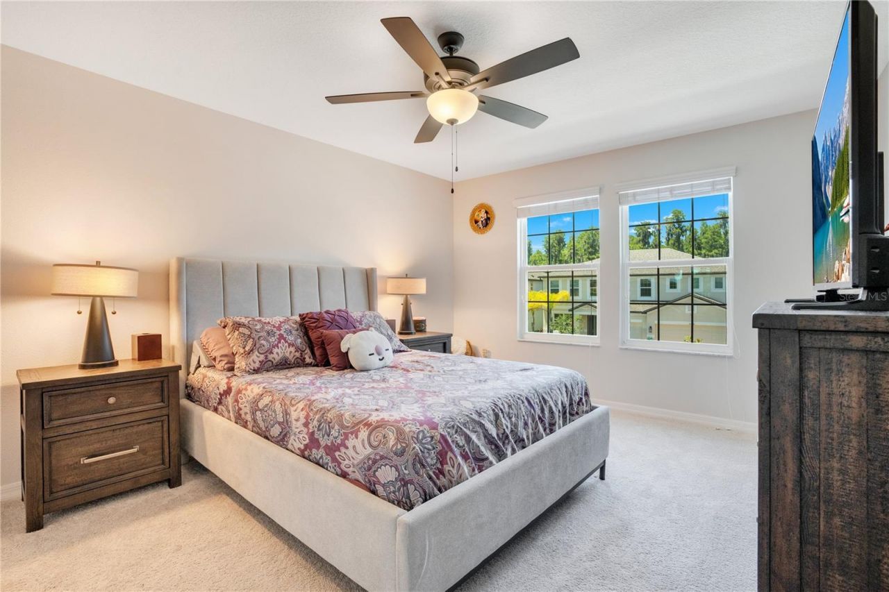 19335 Eagle Creek Lane, Tampa, FL 33647 Photo