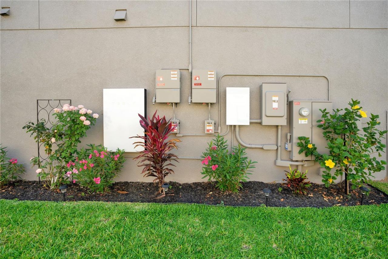 19335 Eagle Creek Lane, Tampa, FL 33647 Photo