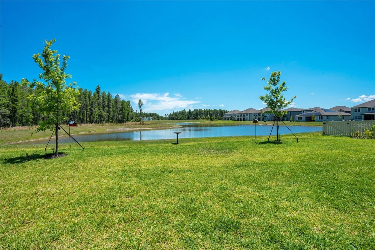 19335 Eagle Creek Lane, Tampa, FL 33647 Photo