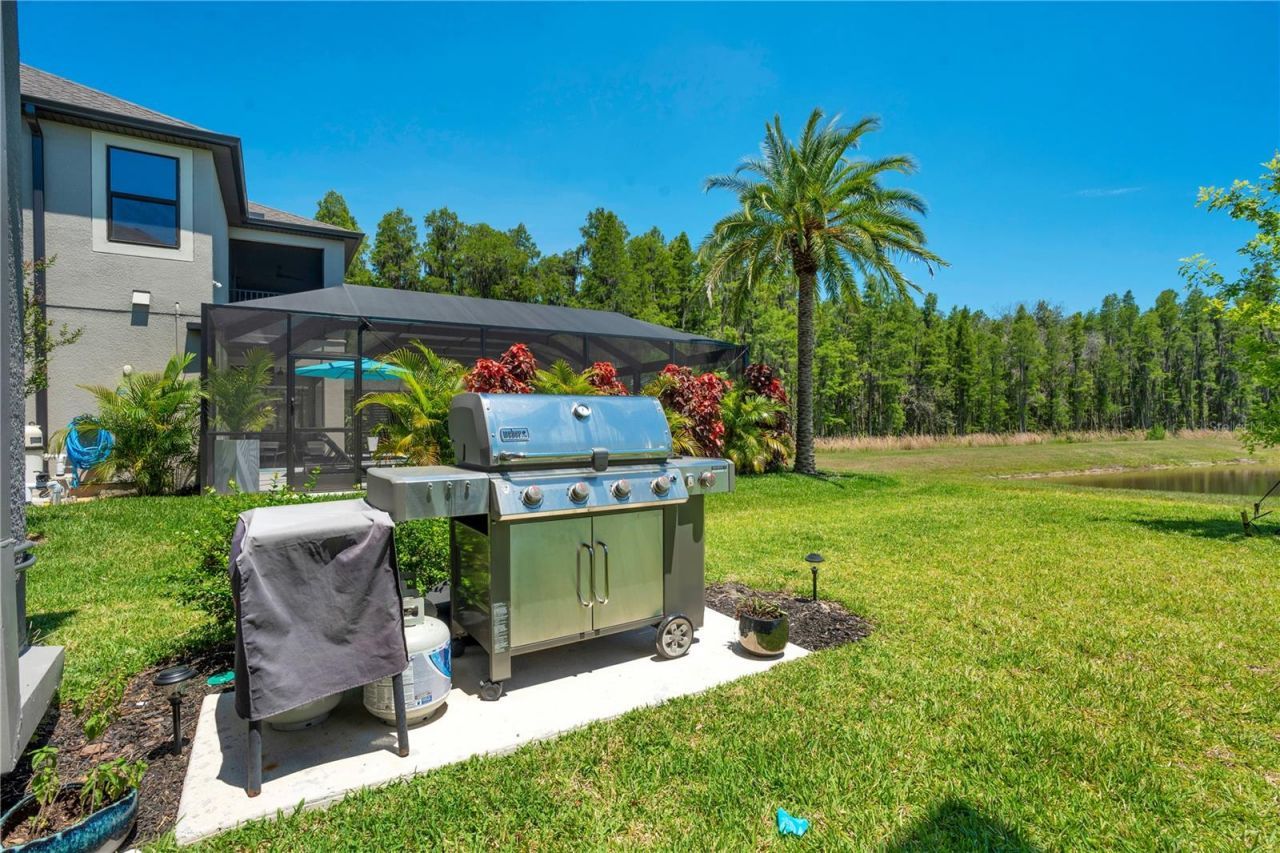 19335 Eagle Creek Lane, Tampa, FL 33647 Photo