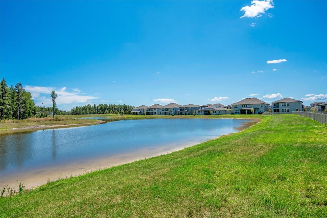 19335 Eagle Creek Lane, Tampa, FL 33647 Photo