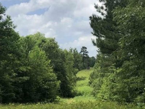 TBD Aster Road, Gilmer, TX 75644