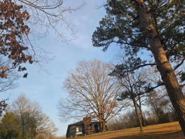 11404 Lucian Wood Road, Cedarville, AR 72932