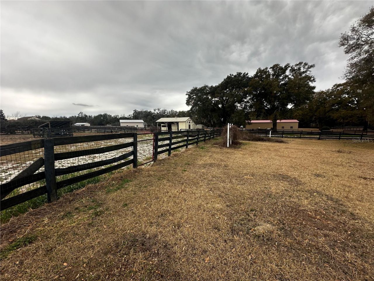 590 NE 63rd Street, Ocala, FL 34479 Photo