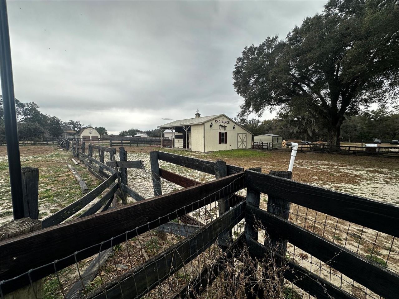 590 NE 63rd Street, Ocala, FL 34479 Photo