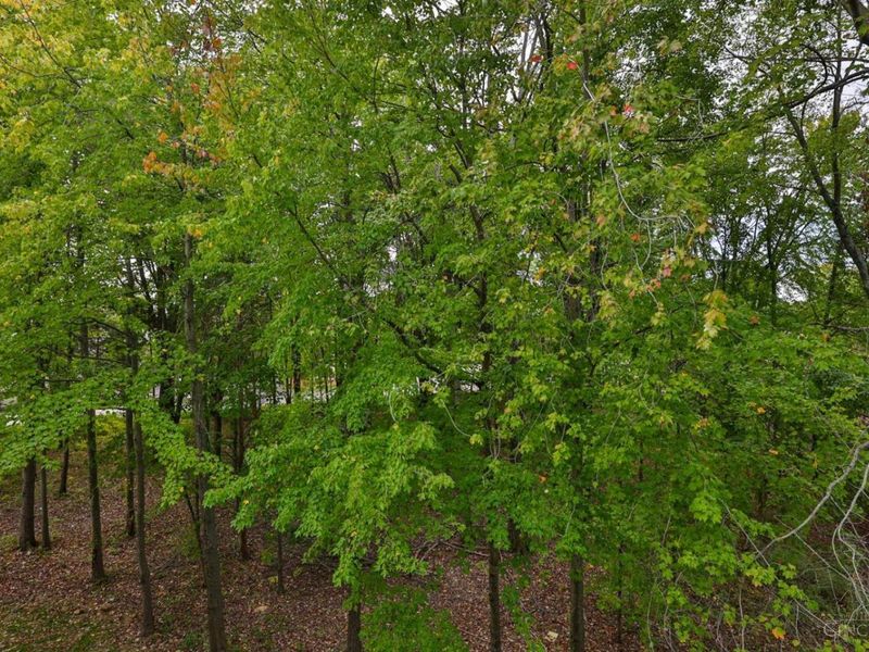 220 Carrington Place, Unit 312, Loveland, OH 45140 Photo 28