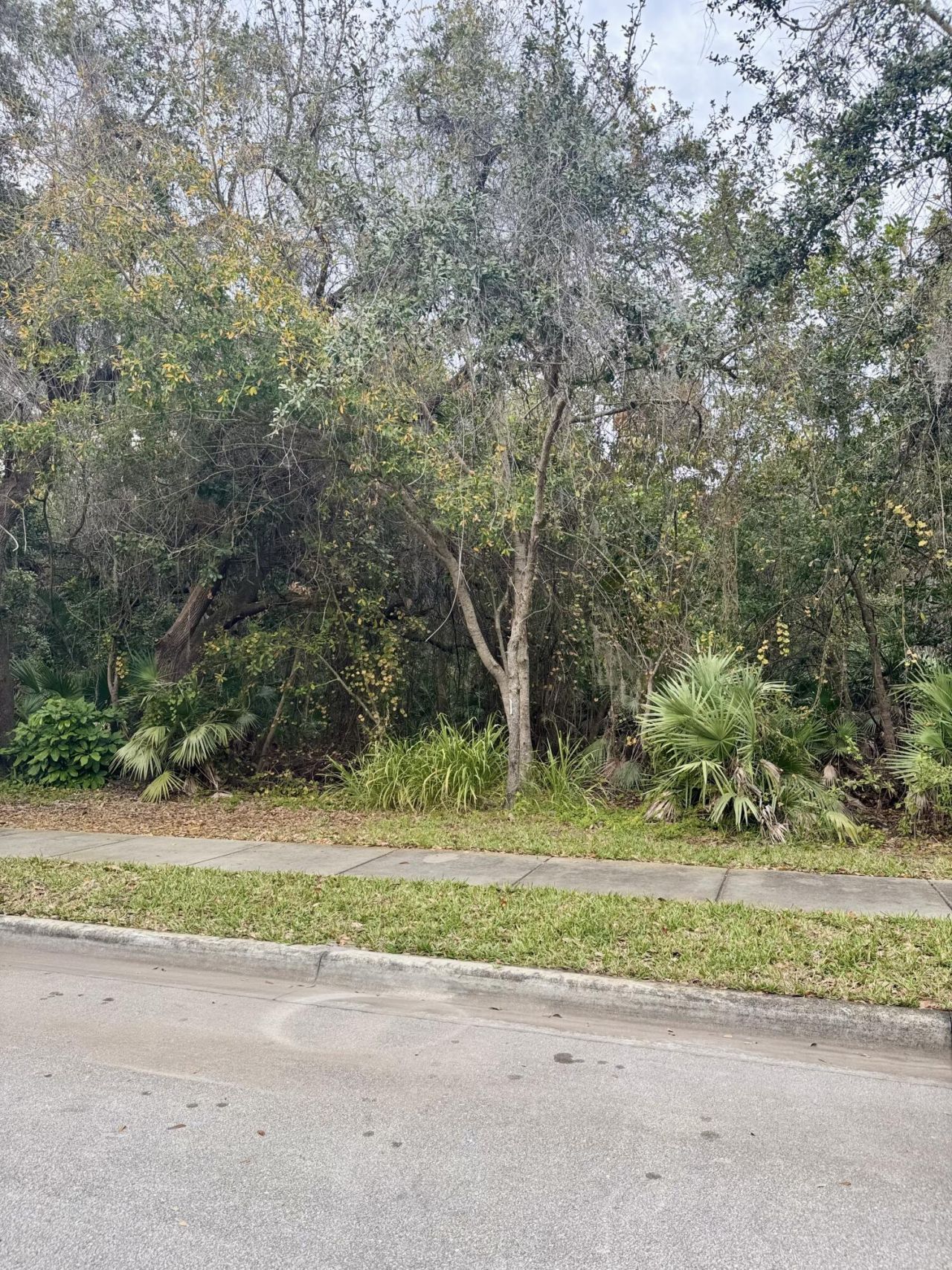 2096 SE Labelle Drive, Port Saint Lucie, FL 34952 Photo