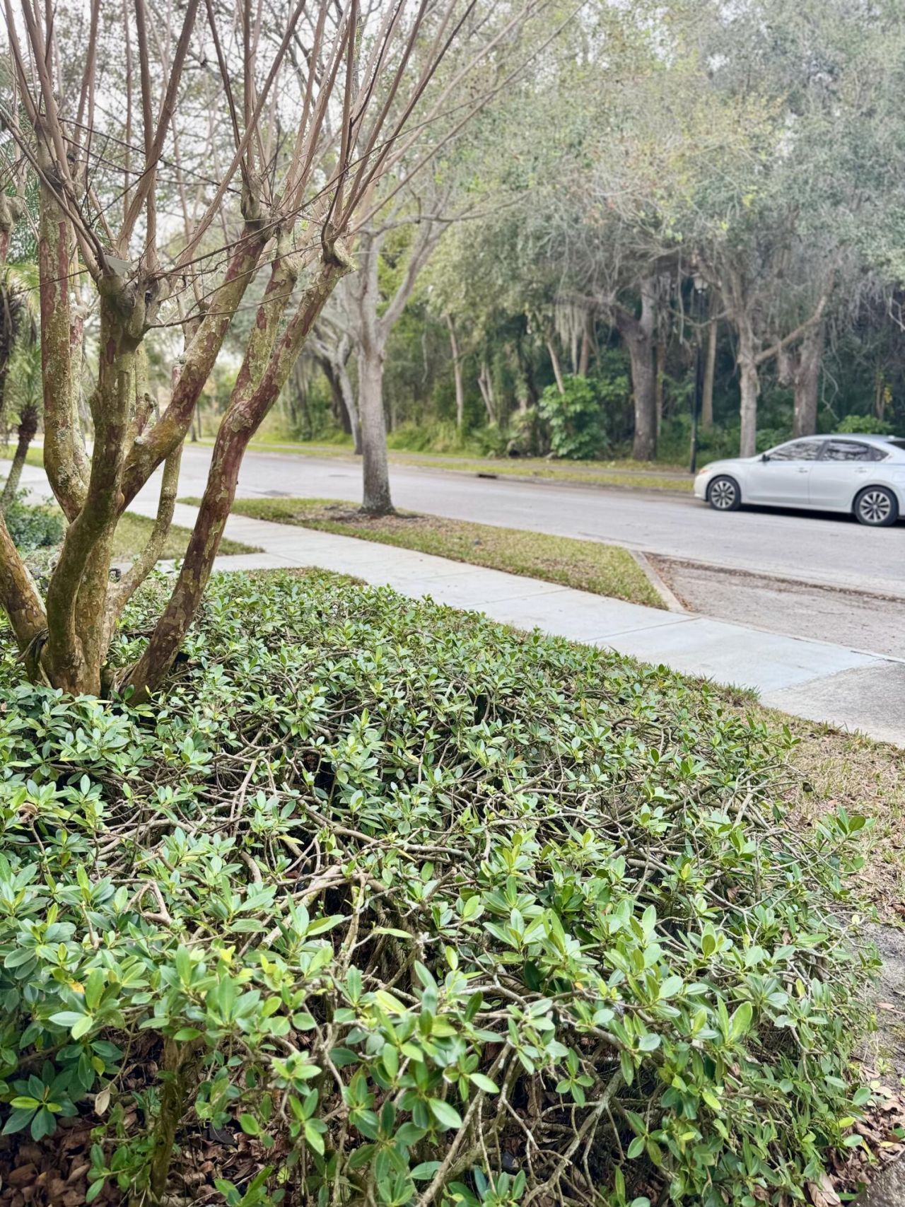 2096 SE Labelle Drive, Port Saint Lucie, FL 34952 Photo