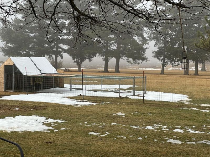 2776 S TR 1124, Attica, OH 44807 Photo 24