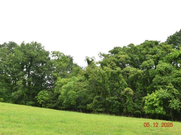Lot 230 Harbor, Mooresburg, TN 37811