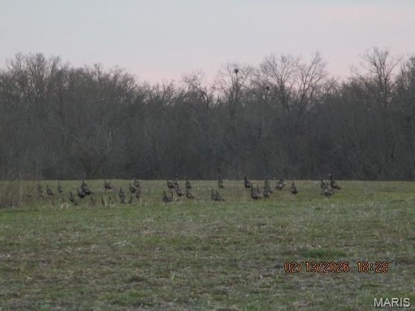 Lot #8 PCR 910 , Perryville, MO 63775