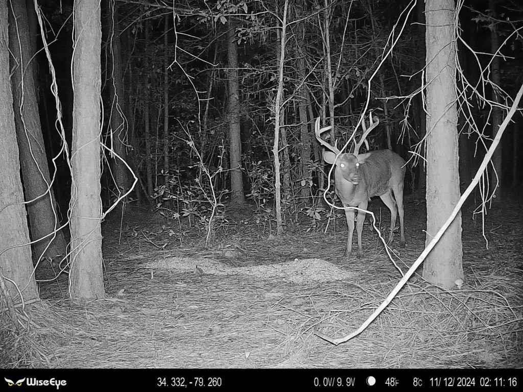 2249 Joann Branch Rd. Photo 23