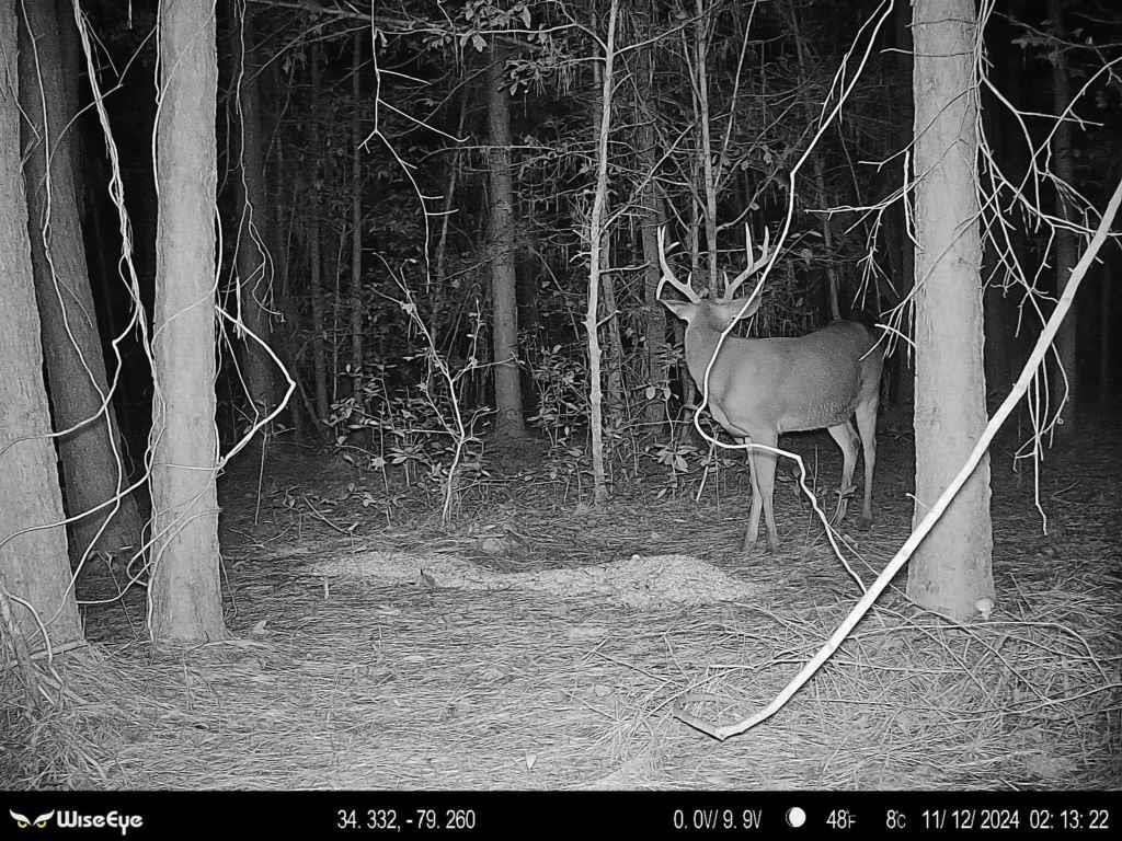 2249 Joann Branch Rd. Photo 24