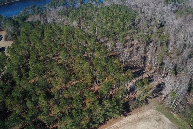 2249 Joann Branch Rd. Photo 27