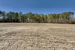 2249 Joann Branch Rd. photo 4