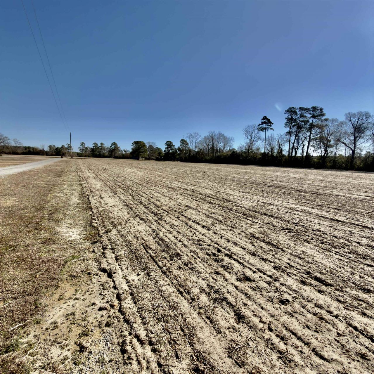 2249 Joann Branch Rd. Photo 4