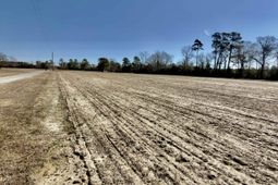 2249 Joann Branch Rd. photo 4