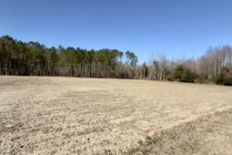 2249 Joann Branch Rd. photo 4