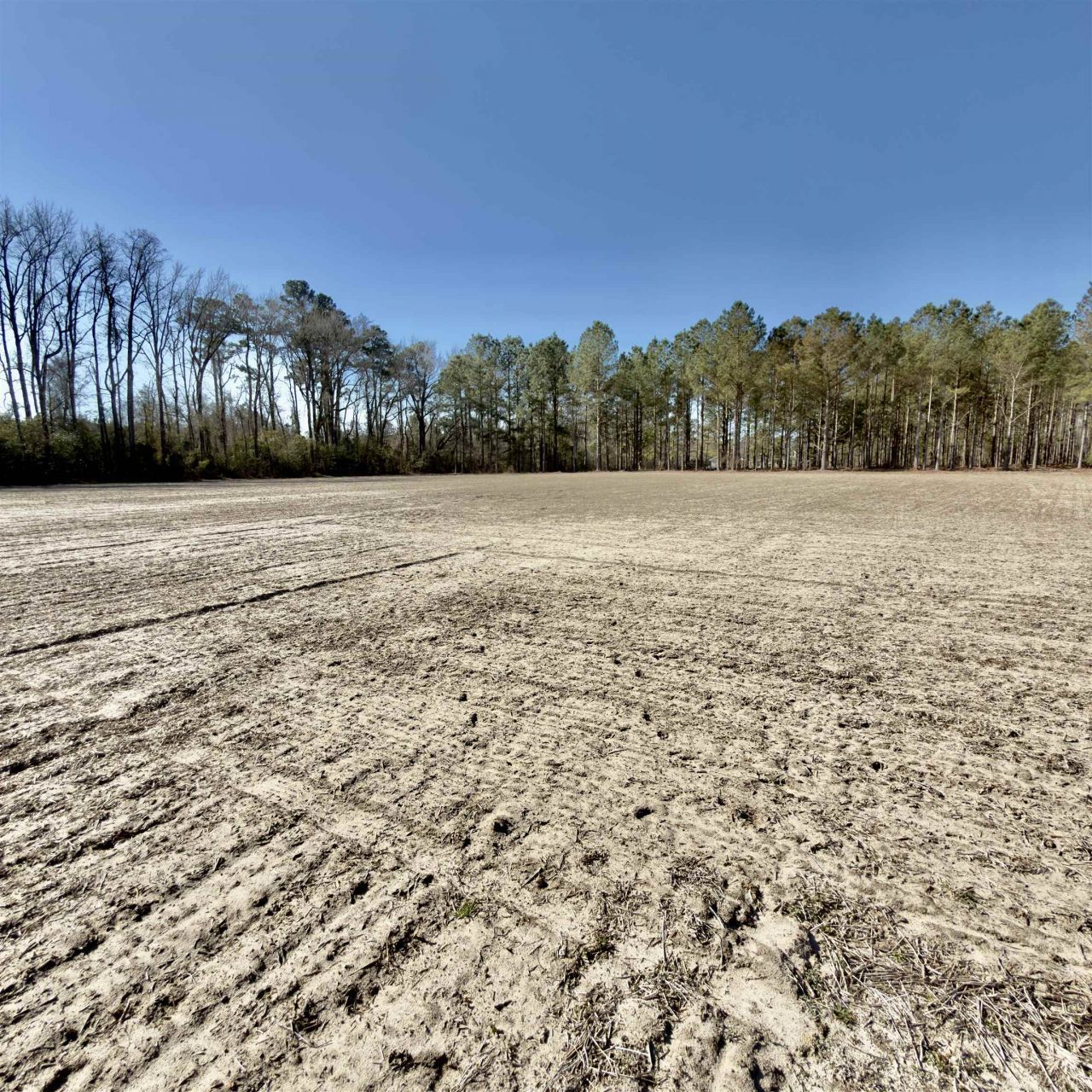 2249 Joann Branch Rd. Photo 6