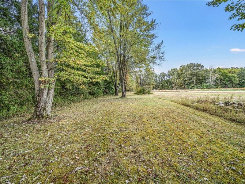 26571 Sprague Road, Columbia Station, OH 44028 Photo 30