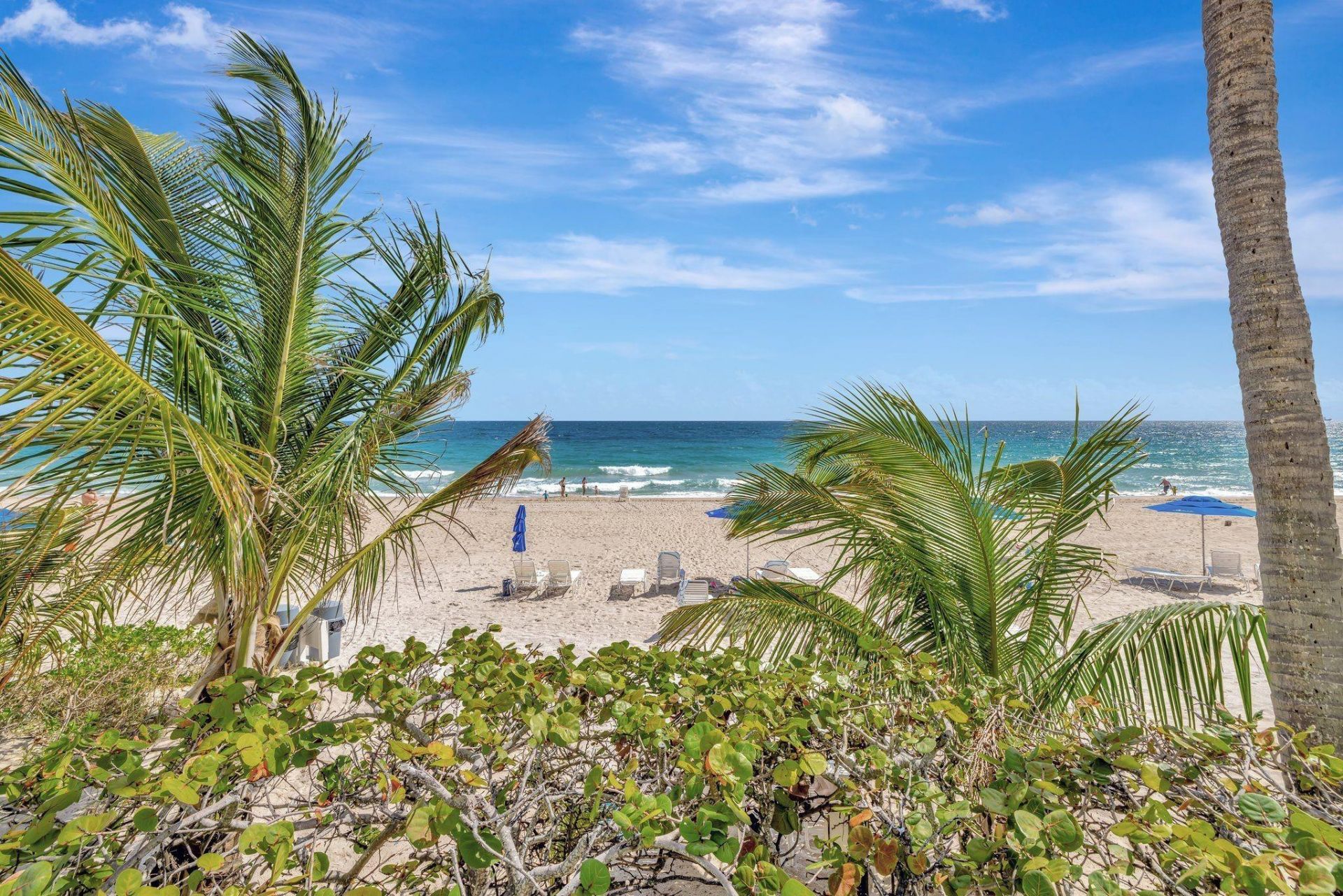 3900 Galt Ocean Drive, Unit 1515, Fort Lauderdale, FL 33308 Photo