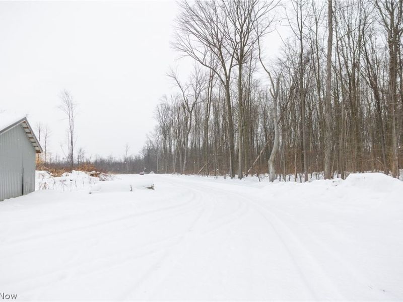 3542 Mann Road, Andover, OH 44003 Photo 25