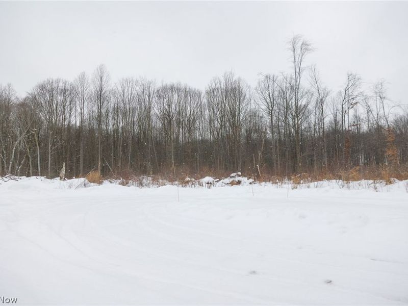 3542 Mann Road, Andover, OH 44003 Photo 26