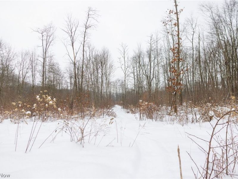 3542 Mann Road, Andover, OH 44003 Photo 27