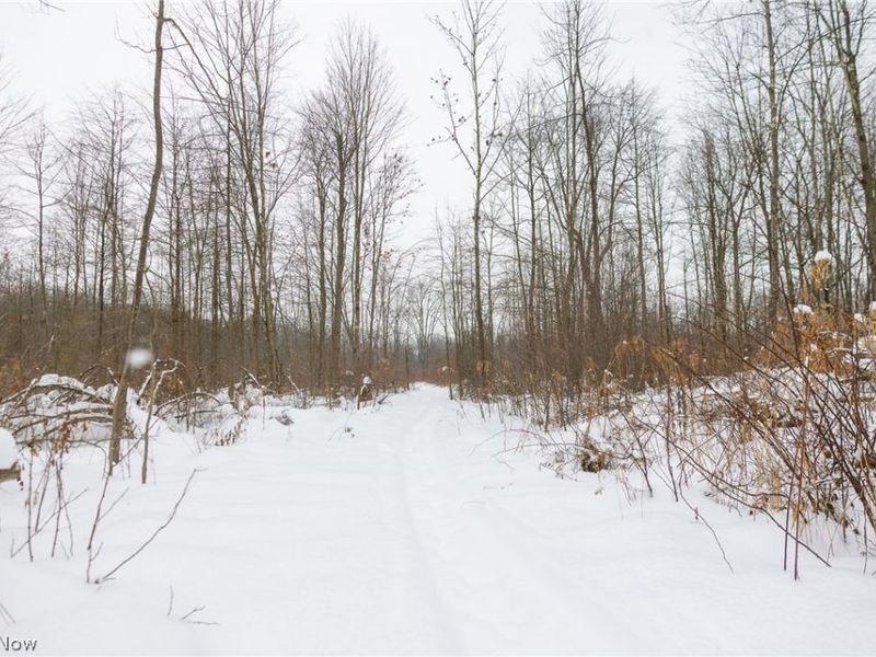 3542 Mann Road, Andover, OH 44003 Photo 28