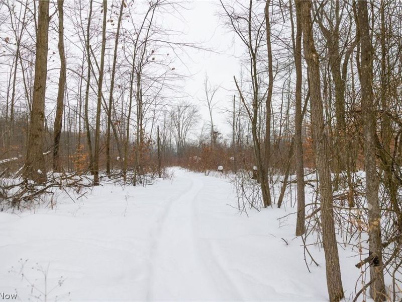 3542 Mann Road, Andover, OH 44003 Photo 29