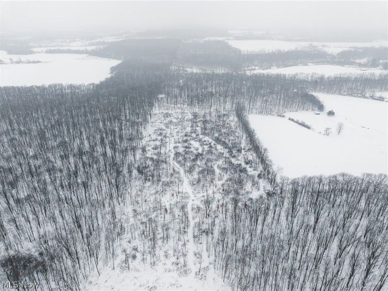 3542 Mann Road, Andover, OH 44003 Photo 33