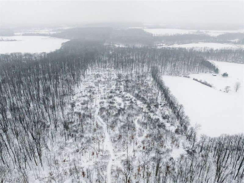 3542 Mann Road, Andover, OH 44003 Photo 34