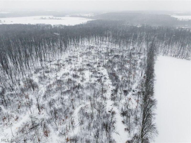 3542 Mann Road, Andover, OH 44003 Photo 35