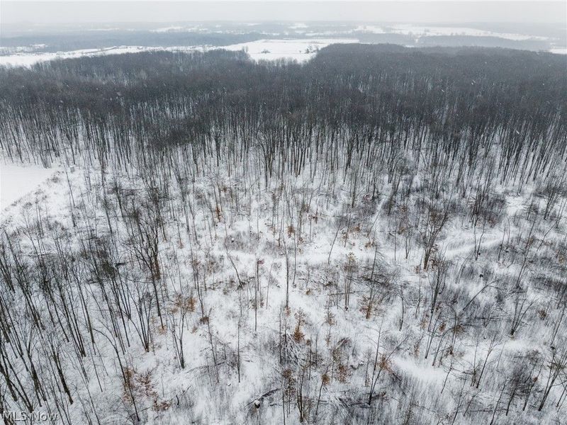 3542 Mann Road, Andover, OH 44003 Photo 36