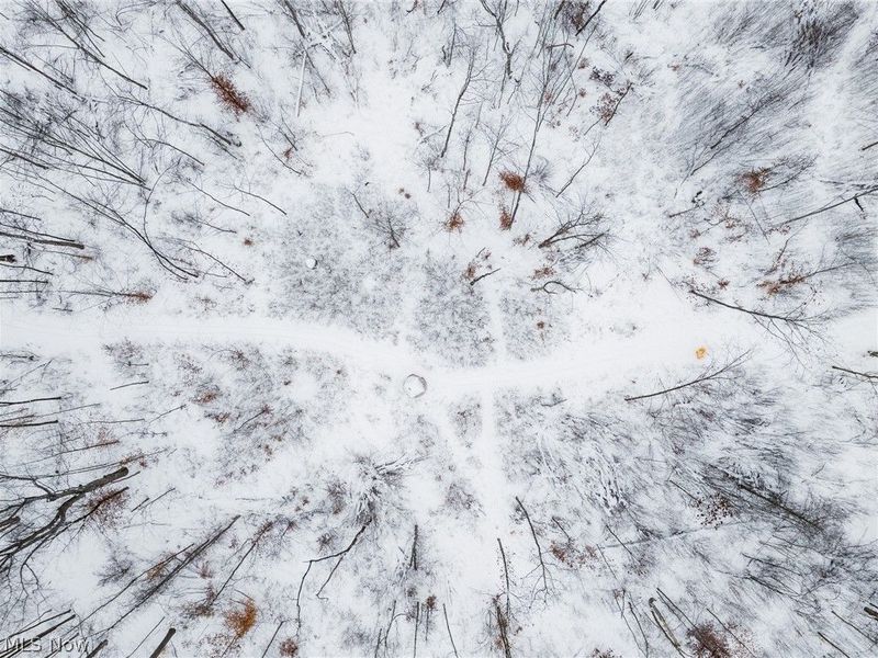 3542 Mann Road, Andover, OH 44003 Photo 37