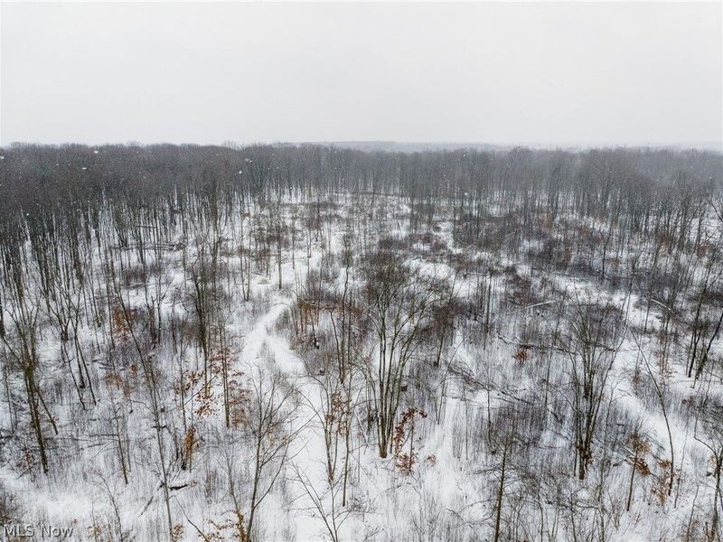 3542 Mann Road, Andover, OH 44003 Photo 39