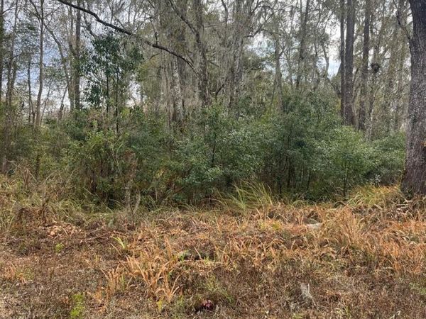 519 WARD AVENUE, BROOKSVILLE, FL 34601