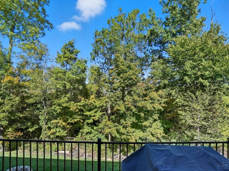 3894 Kippling Crossing, Pierce Twp, OH 45245 Photo 34