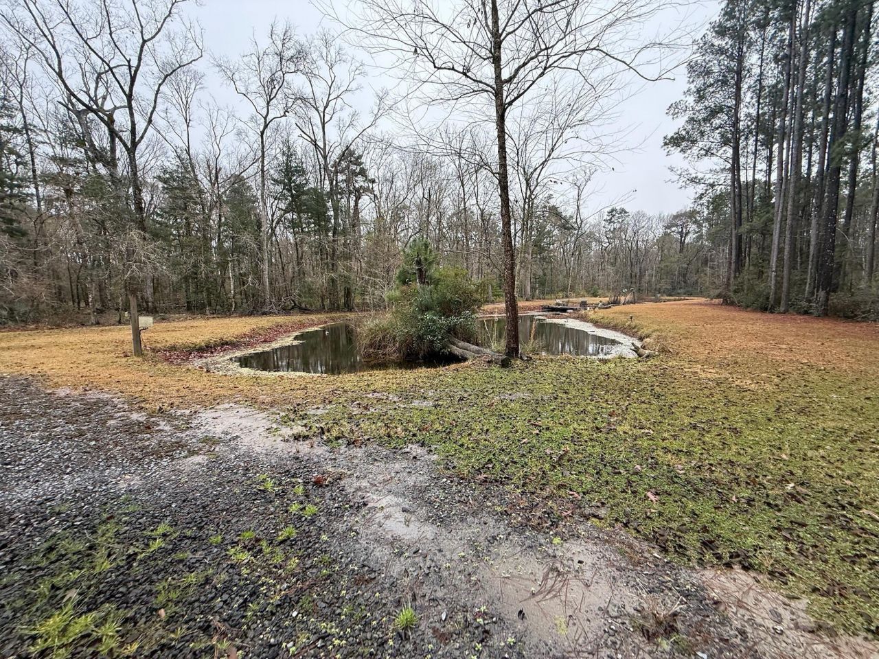 8995 Greenwood Photo 65