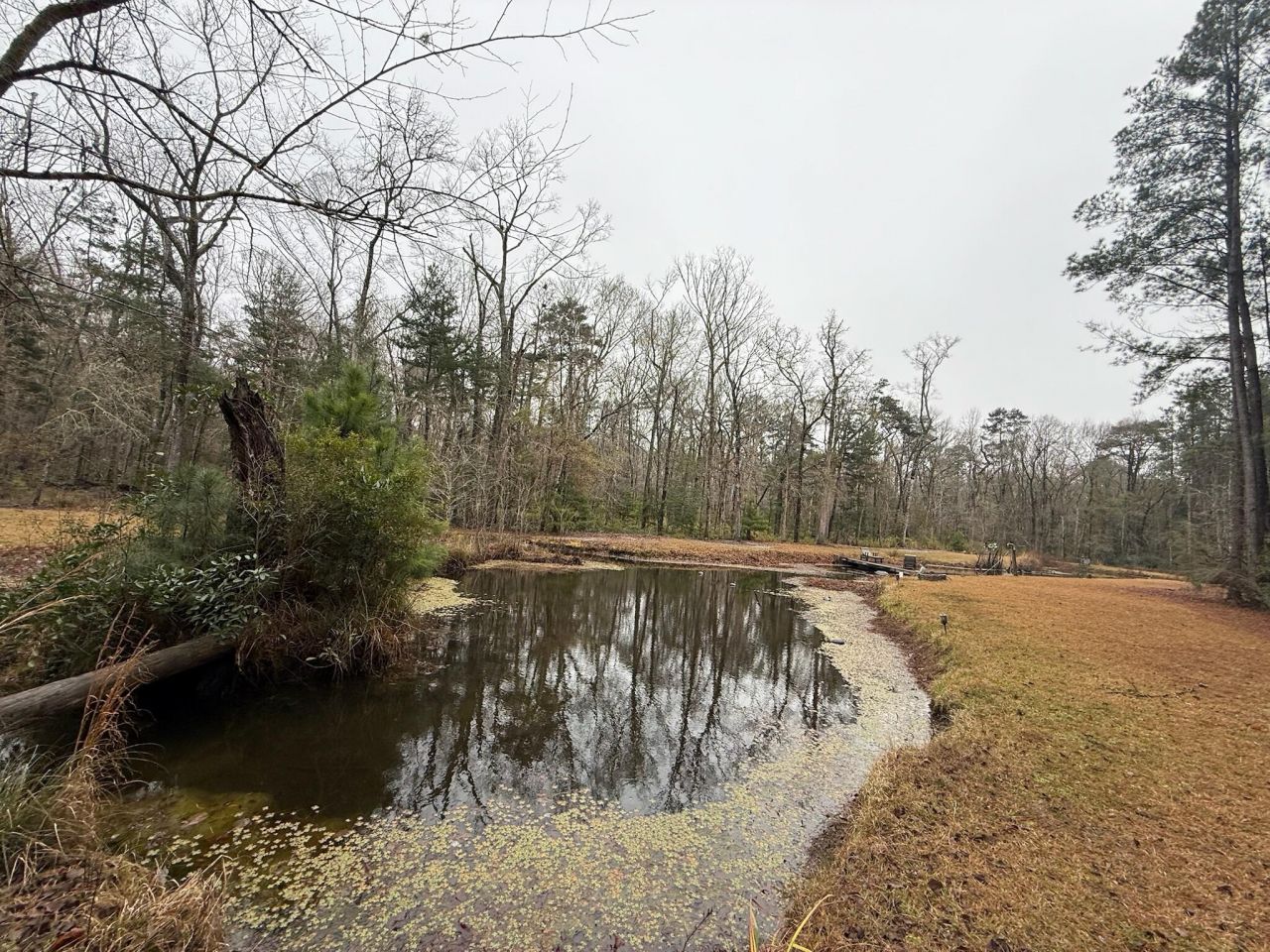 8995 Greenwood Photo 66