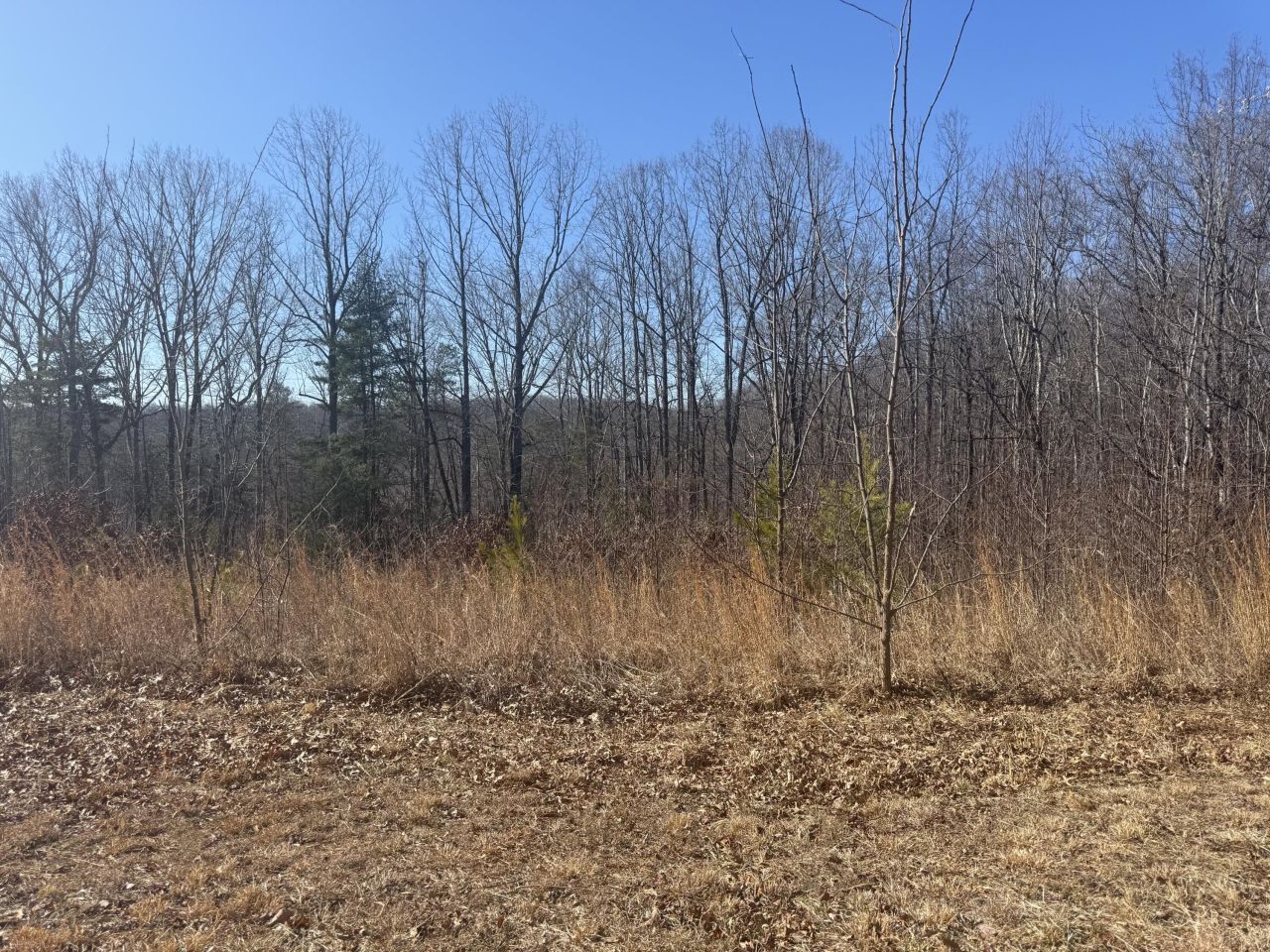 Lot 11 Thompson Ridge Cir, Ferrum, VA 24088 Main Photo