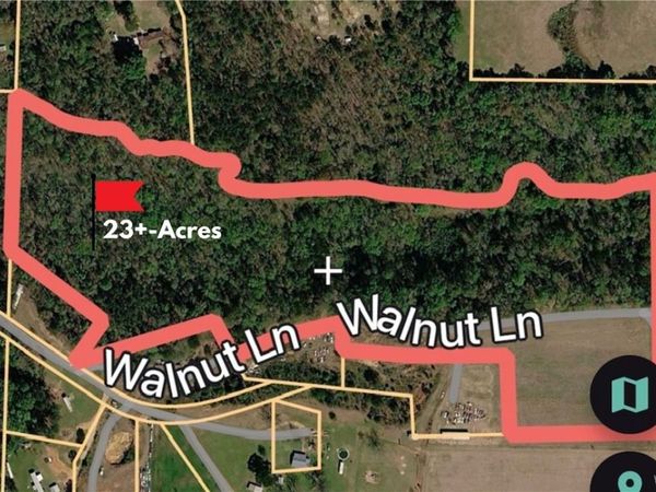 0000 Black Walnut drive, Moundville, AL 35474