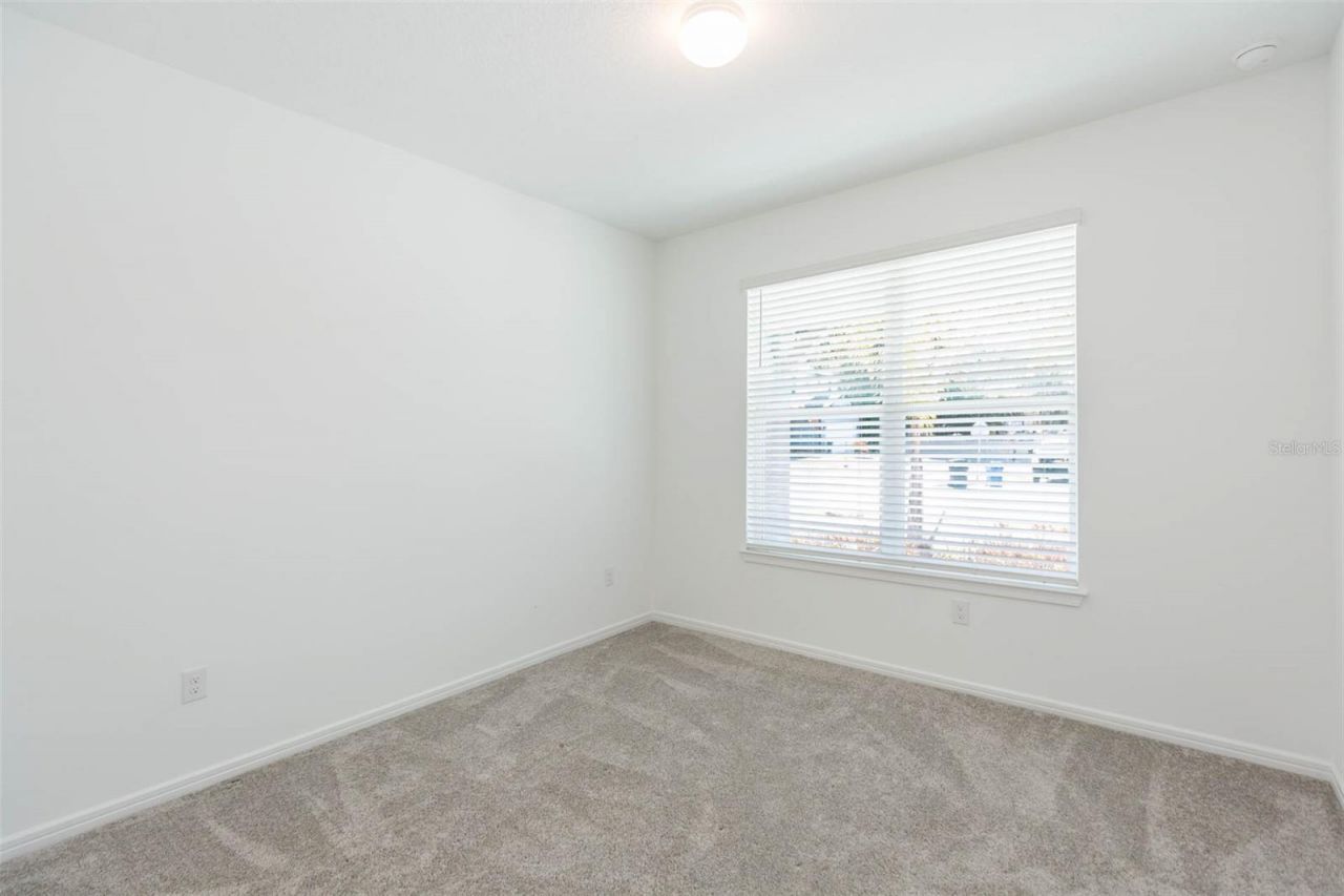 3044 Forest Meadow Avenue, Valrico, FL 33594 Photo