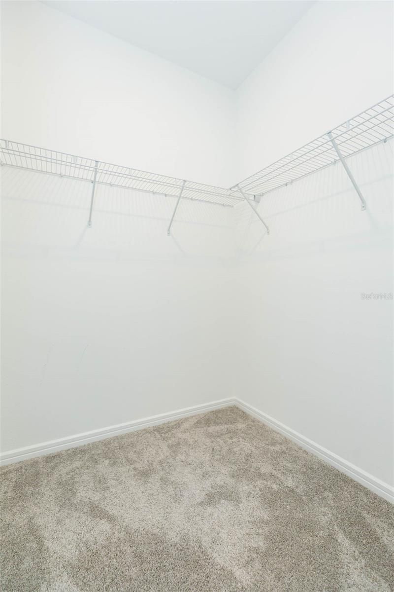 3044 Forest Meadow Avenue, Valrico, FL 33594 Photo