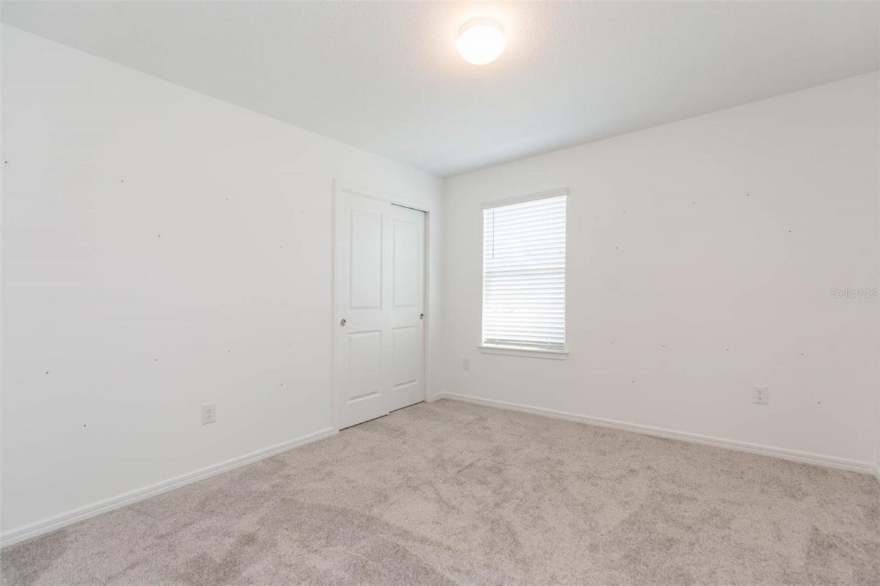 3044 Forest Meadow Avenue, Valrico, FL 33594 Photo