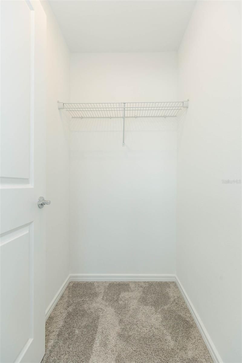 3044 Forest Meadow Avenue, Valrico, FL 33594 Photo