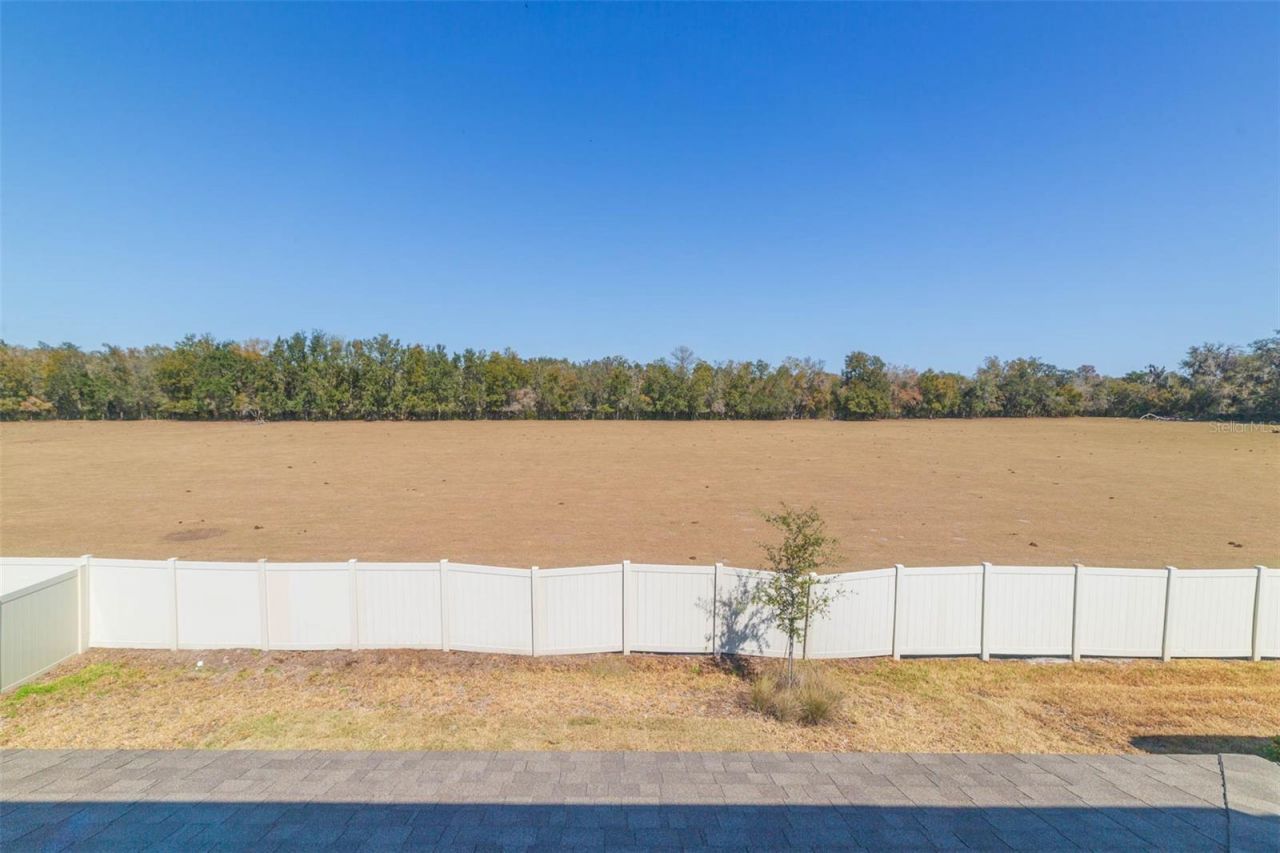 3044 Forest Meadow Avenue, Valrico, FL 33594 Photo